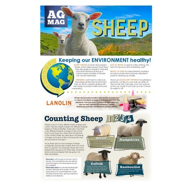 Sheep Ag Mag